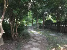 必看好房中心位置 推开窗户热带景观绿化映眼