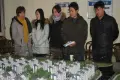 丽晶华庭活动现场