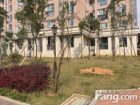 泓悦府商住楼实景图