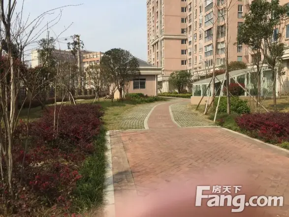 泓悦府商住楼实景图