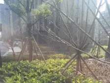 江景苑 1室1厅 南