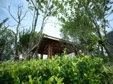 绿腾九龙十一度 南北通透,采光好 近地铁 视野好,诚心出售