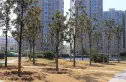 东方今典朗润园实景图