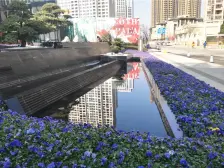 雍锦王府端户别墅,带院子带地下室,带车位