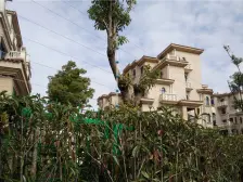 毕加索花园小镇 4室2厅 南