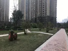 金辉品质的小区,户型方正,夹角看江,看中庭。