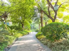 良庆大沙田恒大绿洲 精装两房 高楼层视野采光好