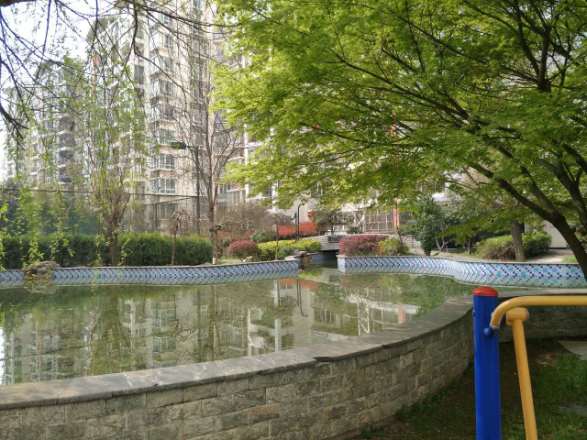 绿景苑实景图