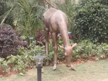 中泰峰境 全新三房 中楼层出售