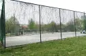 金色漫香林实景图