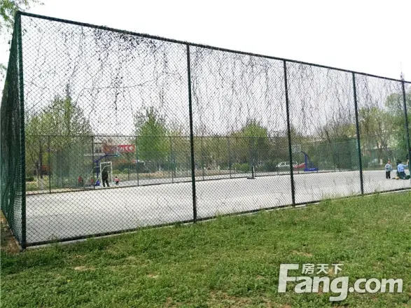 金色漫香林实景图