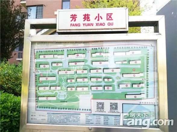金色漫香林实景图