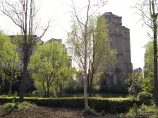 近万达商圈 低密度社区 园林式 叙利亚风格装修