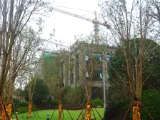 城泰枫桦天成 南北通透,采光好 视野好,诚心出售