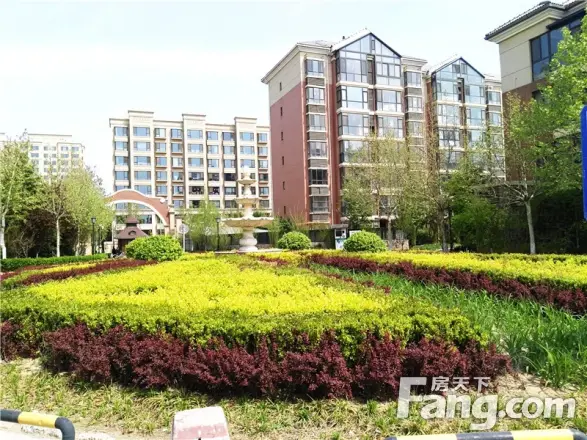 金色漫香林实景图