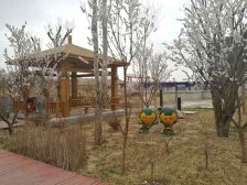 万郡大都城 3室2厅 南 北