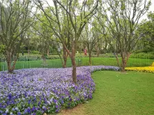 碧桂园物业 精装四室,绿化好,户型方正,住家安静