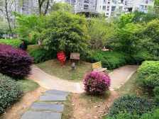 楼层好 视野开阔 采光好 出门地铁口