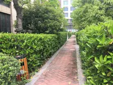 店长力荐,采光好视野佳,户型好。业主诚心出售