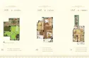 中洲半岛城邦户型图