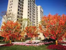 ?南北通的,精装修,拎包入住,户型方正,小区环境优