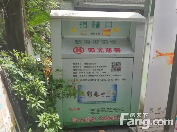 水木清华实景图
