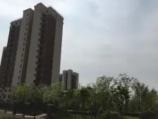 金地小高层,一楼带南北花园,带地下