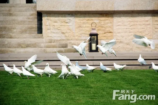 万科御澜道·滨江组团实景图