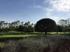 蔚蓝阁B区 4室2厅 西南