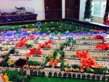 大双拼 使用面积大 带车库 带花园