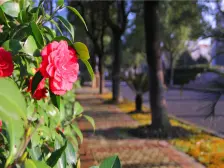 楼层好,视野宽阔,采光充足,配套设施齐全,交通便利