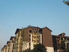 铂景台 3室1厅 东南