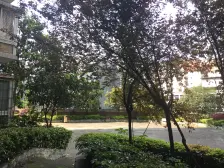 房子位置好,出行生活方便,出门50米就是天奇广场