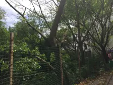 老城区 水文厂四房75万