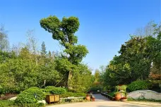 华宸龙隐山[新建]