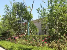 佳源都市 四开间朝南 看房方便有钥匙