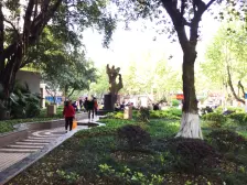 上海路社区 3室1厅 东 东北