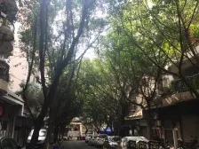 老城区 龙江花园二期二房45万