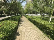 虎溪花园 4室1厅 东南