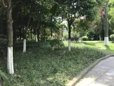 高新区 科学城 精装修一室一厅 户型方正 业主急售