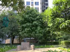 依云雅筑 1室1厅 南