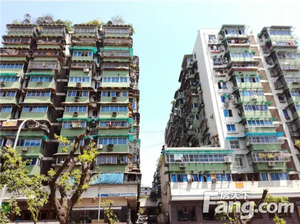 庆隆花园实景图