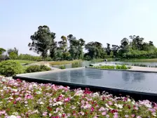 两河院子 6室1厅 西南