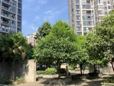 龙溪镇 依云雅筑三房90万