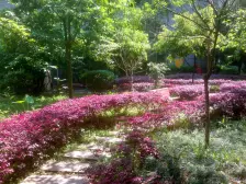 新牌坊郑家院子轻轨站精装两房租金便宜业主急租