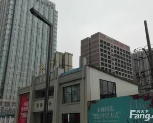 云翔金座 3室2厅 东南