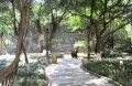 房源图片