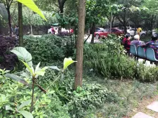 9号线旁 万达旁 三房户型 住家安静 配套齐全随时看房