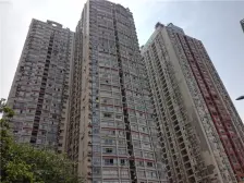 南坪 天龙广场三期一房38万