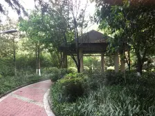 江北嘴旁 清水大四房 两梯两户 通透 近轻轨